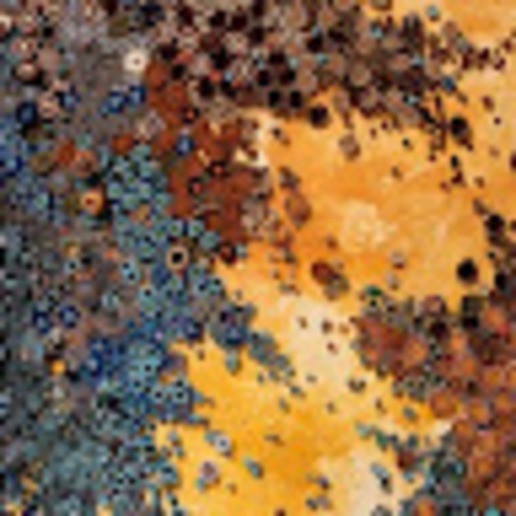 Meet your Posher, Laura - Picture 1 of 1